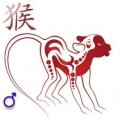 Snake and Monkey: compatibility of women and men in love and marriage